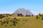Mt Merbabu Trekking from Yogyakarta
