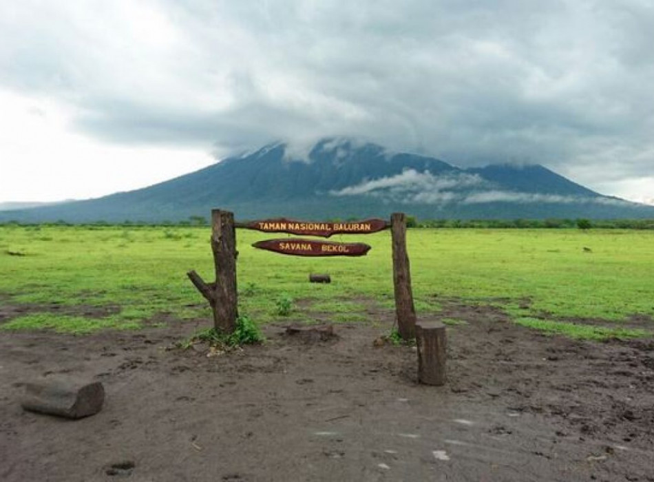 Baluran National Park & Snorkeling from Banyuwangi