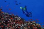 Baluran National Park & Snorkeling from Banyuwangi