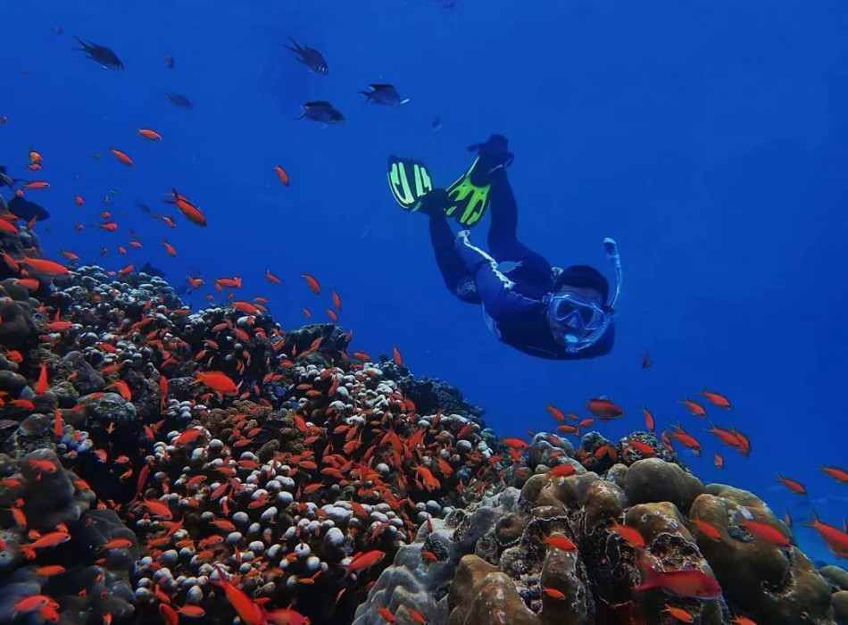Baluran National Park & Snorkeling from Banyuwangi