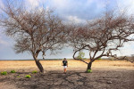 Baluran National Park & Snorkeling from Banyuwangi