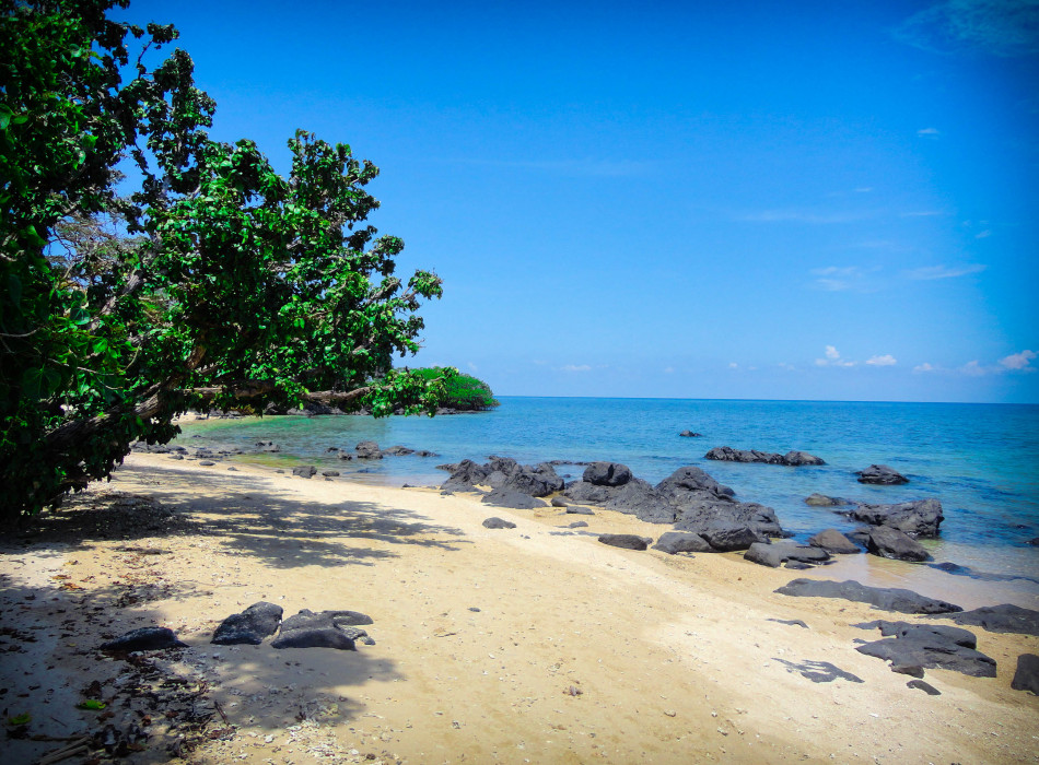 Baluran National Park & Snorkeling from Banyuwangi