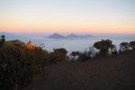 Mt Merbabu Adventure