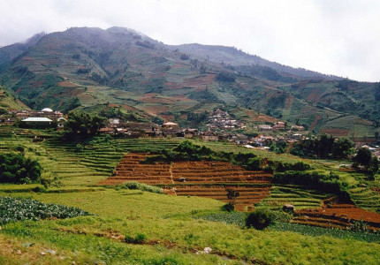 6D5N Yogyakarta Solo Dieng Plateau