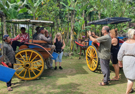 Borobudur and Candirejo Village: Horse Carriage Tours (Andong)