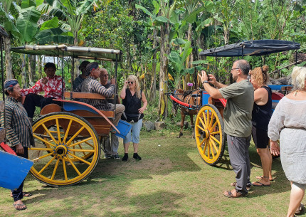 Borobudur and Candirejo Village: Horse Carriage Tours (Andong)