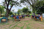Borobudur and Candirejo Horse Carriage Tours