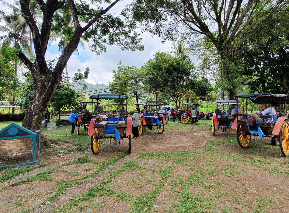 Borobudur and Candirejo Horse Carriage Tours