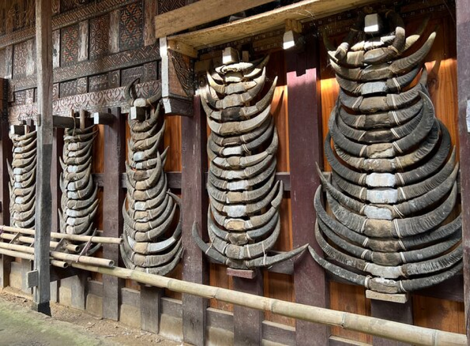 Tana Toraja Tour Package 4D3N
