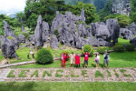 Tana Toraja Tour Package 4D3N