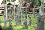 Tana Toraja Tour Package 4D3N
