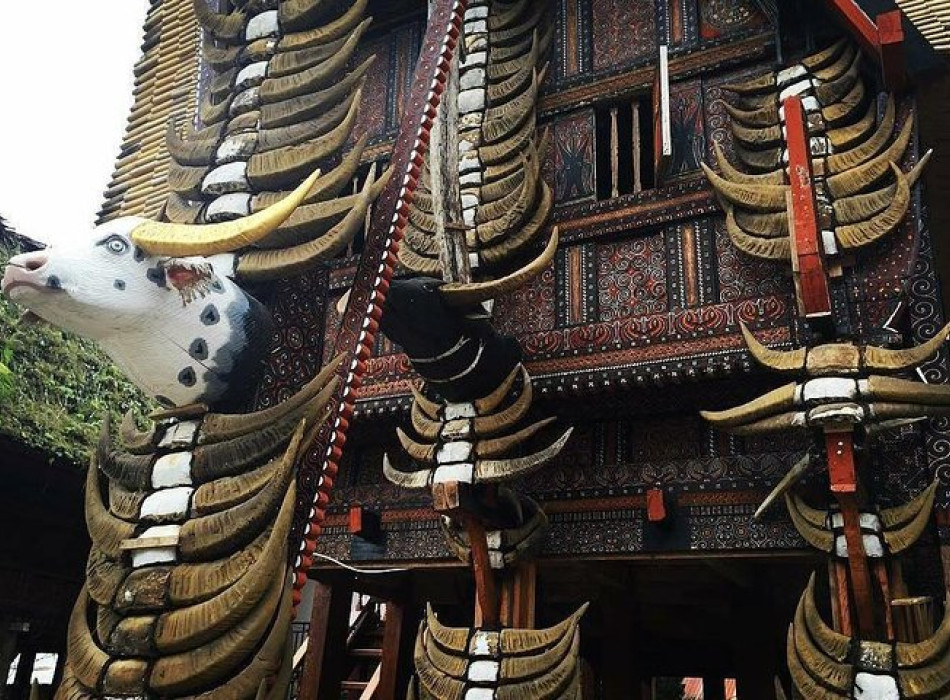 Tana Toraja Tour Package 4D3N