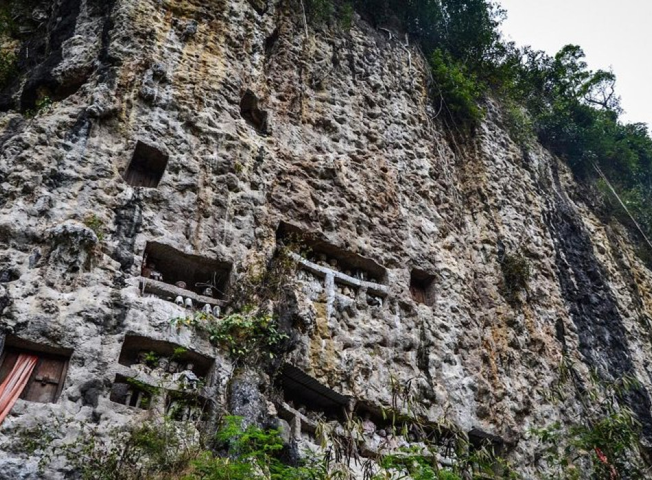Tana Toraja Tour Package 4D3N