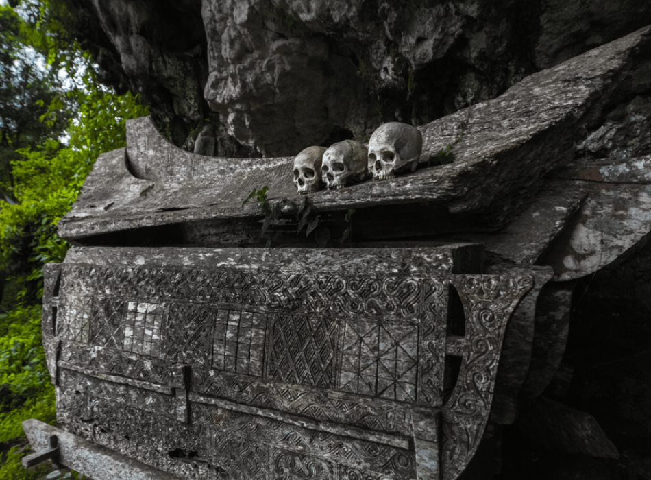 Tana Toraja Tour Package 4D3N