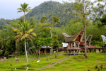 Tana Toraja Tour Package 4D3N