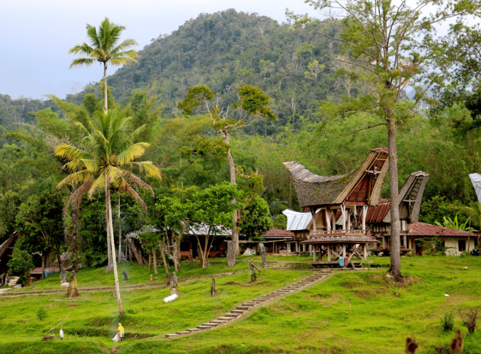 Tana Toraja Tour Package 4D3N