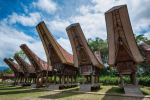 Tana Toraja Tour Package 4D3N