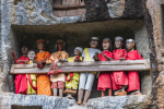 Tana Toraja Tour Package 4D3N