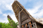 Tana Toraja Tour Package 4D3N