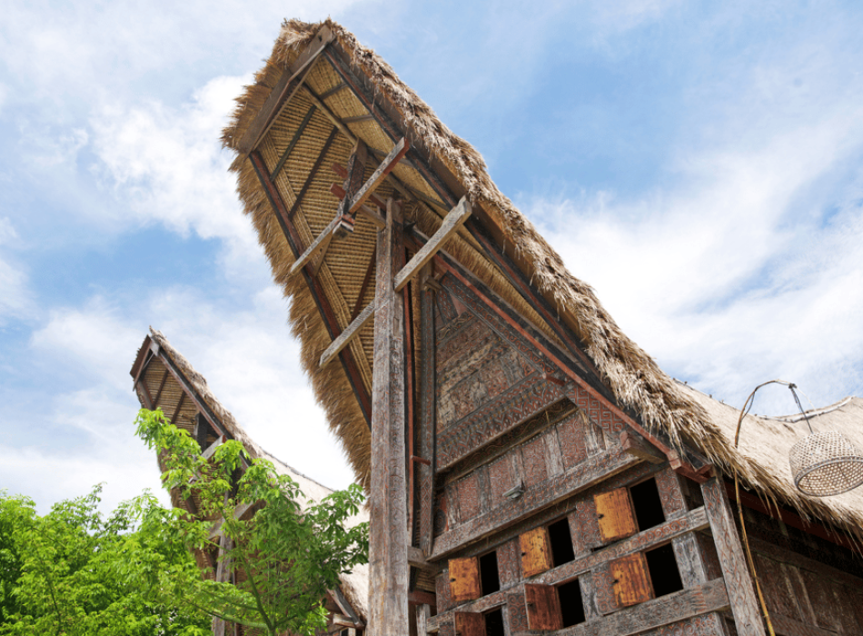Tana Toraja Tour Package 4D3N