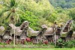 Tana Toraja Tour Package 4D3N