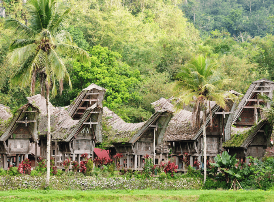 Tana Toraja Tour Package 4D3N