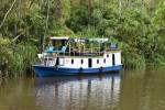 Borneo Shared Trip: 3D2N Orangutan Tanjung Puting National Park