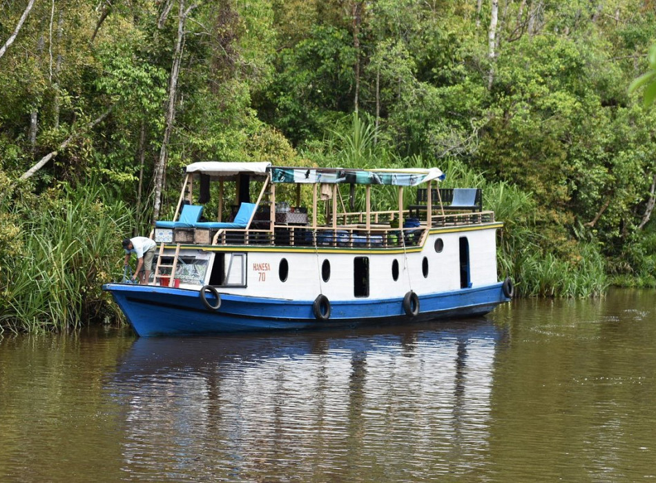 Borneo Shared Trip: 3D2N Orangutan Tanjung Puting National Park