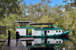 Borneo Shared Trip: 3D2N Orangutan Tanjung Puting National Park