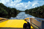 Borneo Shared Trip: 3D2N Orangutan Tanjung Puting National Park
