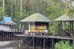 Borneo Shared Trip: 3D2N Orangutan Tanjung Puting National Park