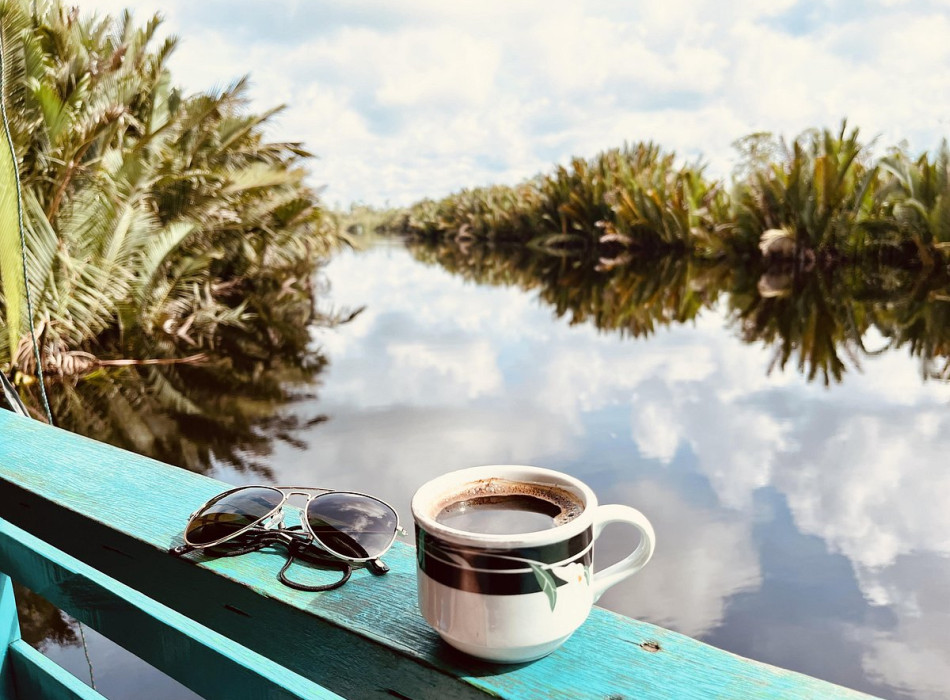 Borneo Shared Trip: 3D2N Orangutan Tanjung Puting National Park