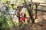 Private tour: Jomblang Cave from Yogyakarta
