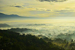 Sunrise Gazing Punthuk Setumbu, Climb up to Borobudur Temple with Dieng Plateau