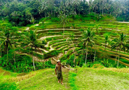 Bali Port: Ubud Village Tour