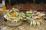 Bali Port: Ubud Village Tour
