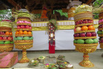 Bali Port: Ubud Village Tour