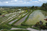 Bali Port: Tanah Lot Tour
