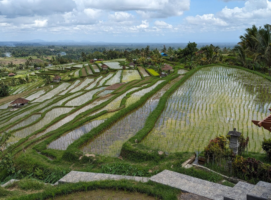 Bali Port: Tanah Lot Tour