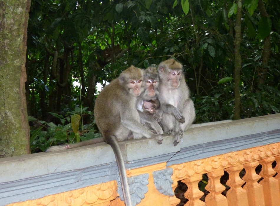 Bali Port: Tanah Lot Tour