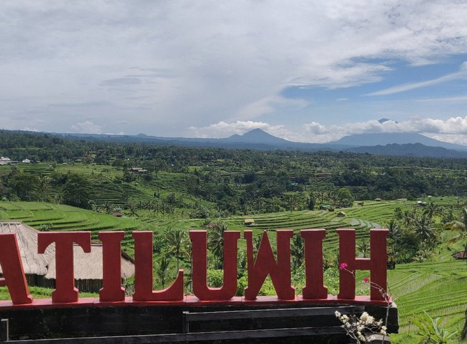 Bali Port: Jatiluwih Tanah Lot Tour