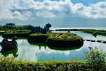 Bali Port: Jatiluwih Tanah Lot Tour