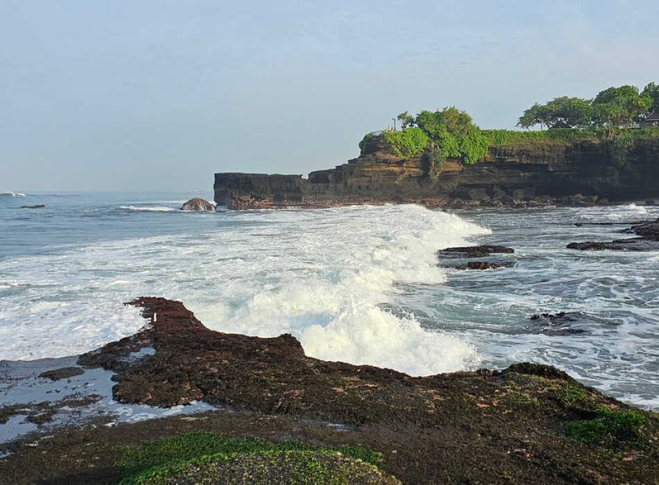 Bali Port: Jatiluwih Tanah Lot Tour