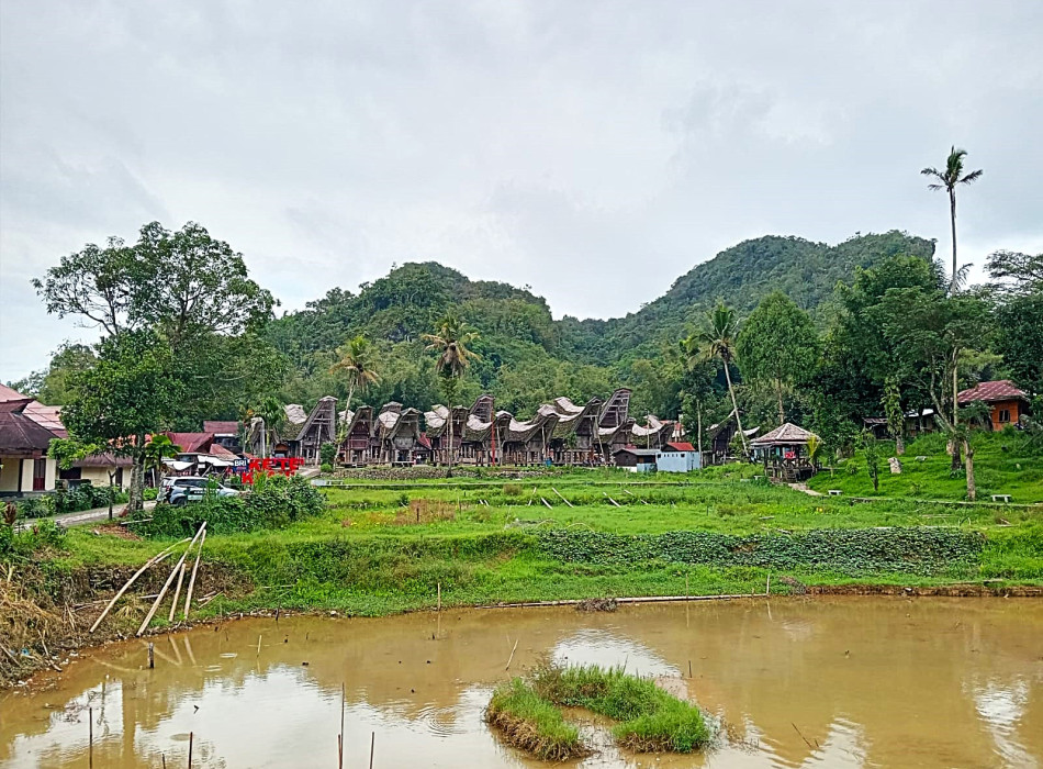 4 Days 3 Nights Tana Toraja Tour Package
