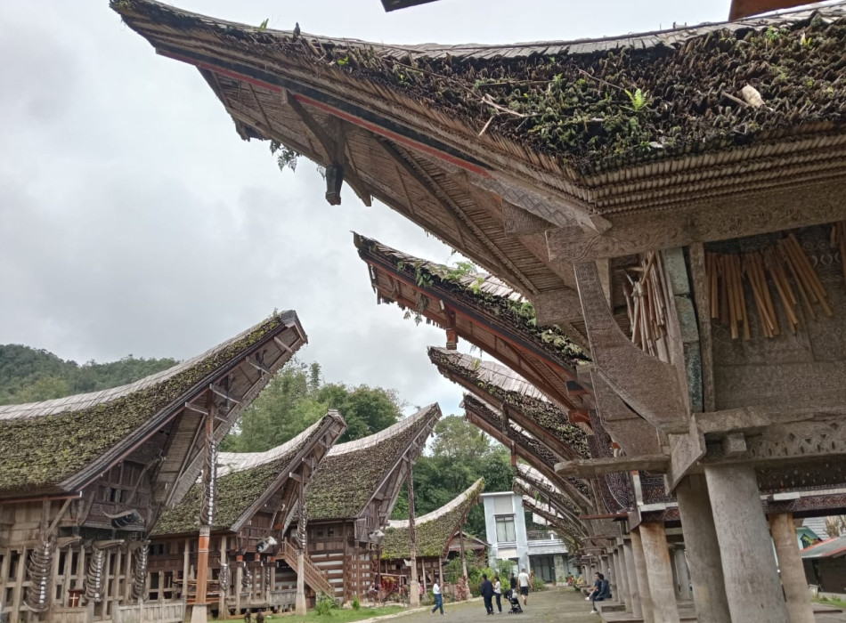 4 Days 3 Nights Tana Toraja Tour Package