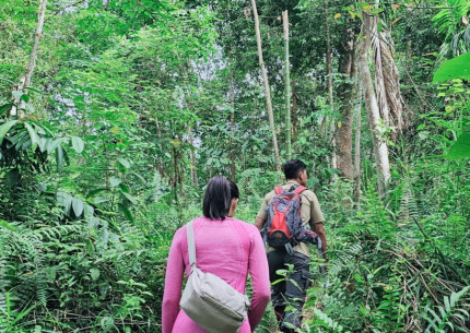 Orangutan Bukit Lawang Trekking Tour Medan